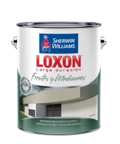 OF20 FRENTES Y MEDIANERAS BLANCO 1 LITRO LOXON LD 12458 *SW* P80600424