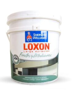 OF20 FRENTES Y MEDIANERAS BLANCO 10 LITROS LOXON LD 12460 *SW* P80600425
