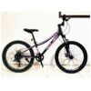 BICICLETA R24 ROJEM *BS* R24