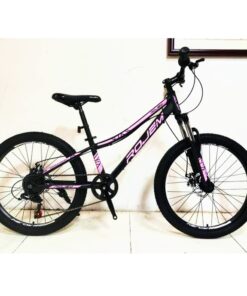 BICICLETA R24 ROJEM *BS* R24
