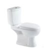 OF20 INODORO DUAL FLUSH PRUSIA FLOWATER M8508 51100026